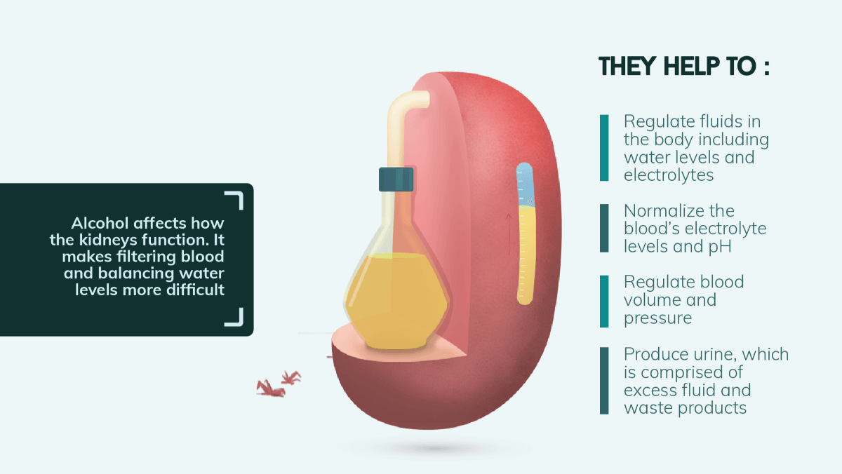 the-effects-of-alcohol-on-the-body-full-page-infographic