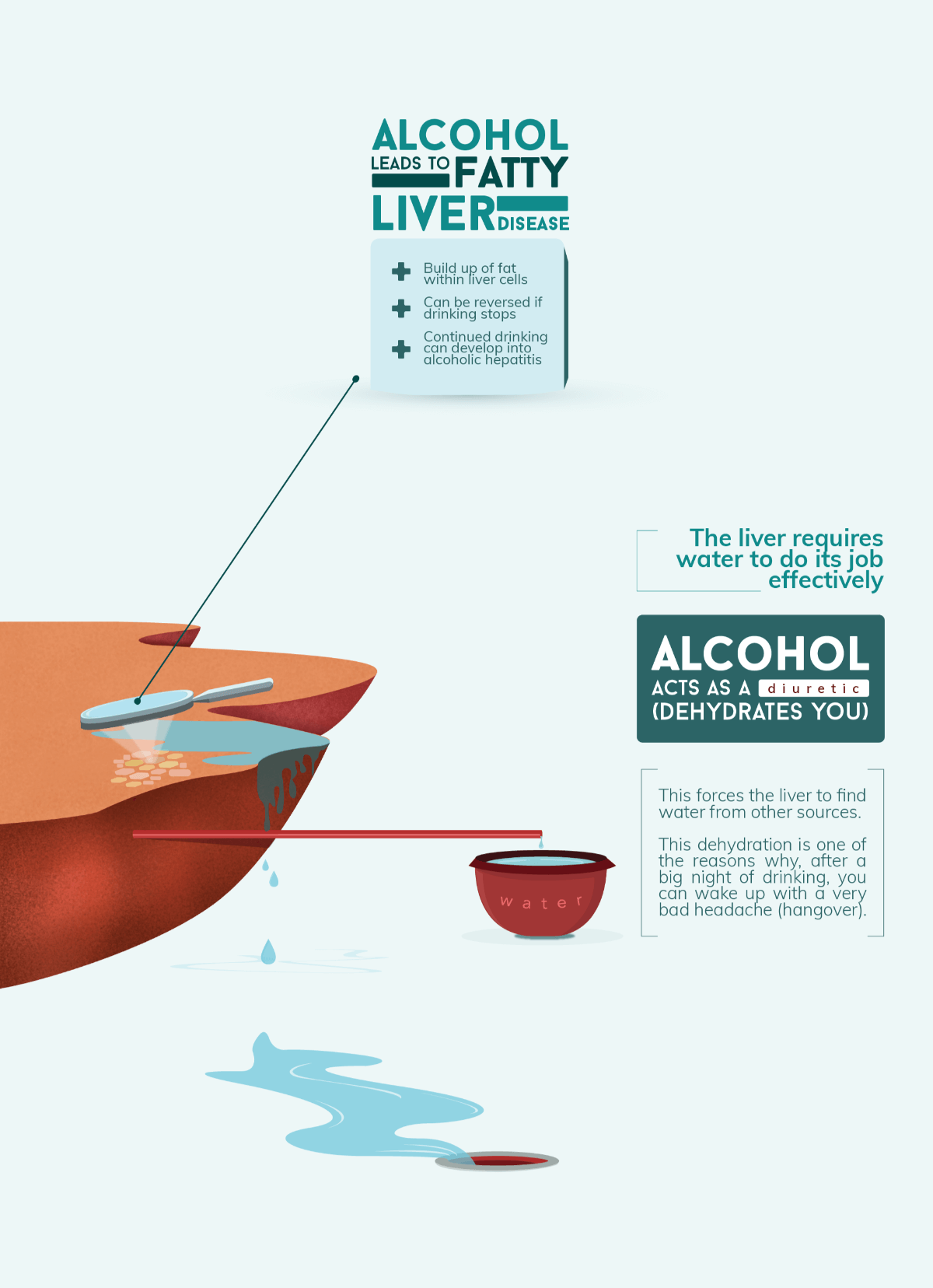 The Effects of Alcohol on the Body FullPage Infographic