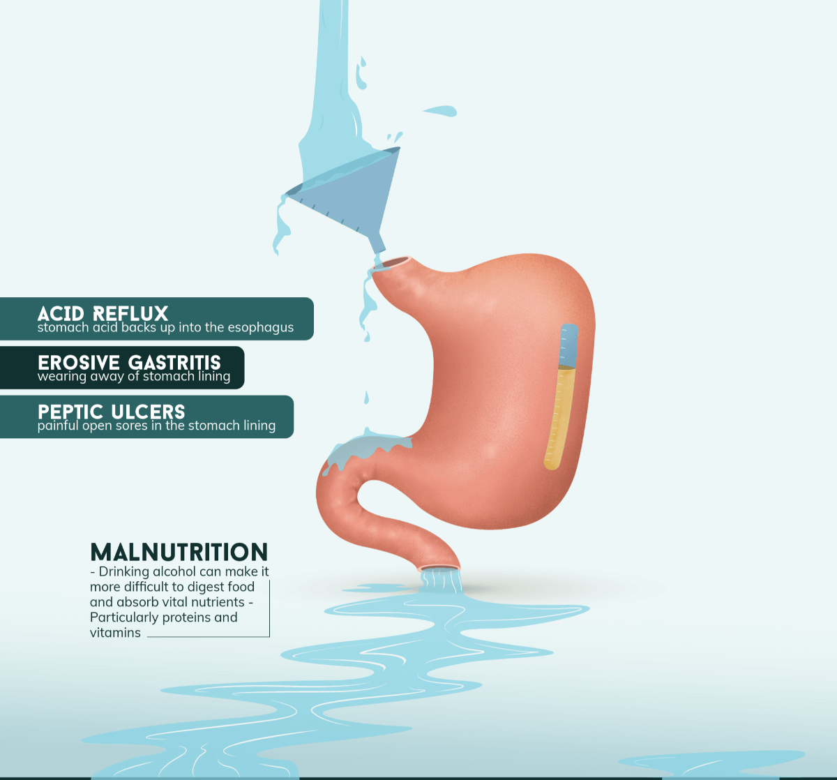 The Effects of Alcohol on the Body FullPage Infographic